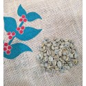 Brazil Cerrado green coffee beans (2kg)