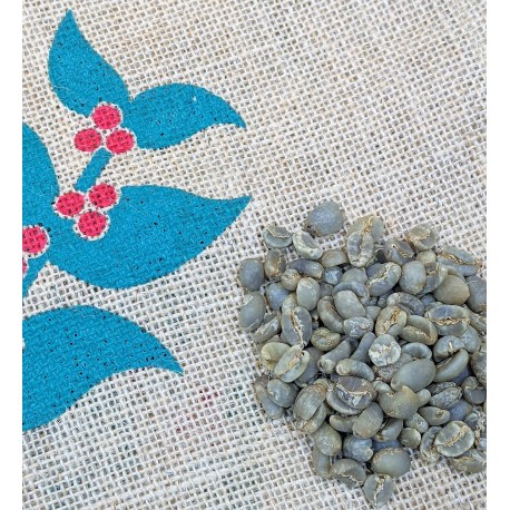 Sumatra Mandheling gr 1 green coffee beans (2kg)