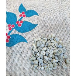 Costa rica SHB green coffee beans