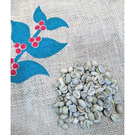 Costa rica SHB green coffee beans