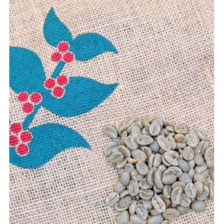 Colombia Supremo 18 green coffee beans